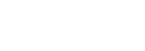 assainarlawyer logo
